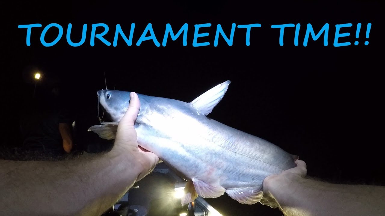 Night Time Jug Line Tournament - Catching Catfish on Jug Lines 