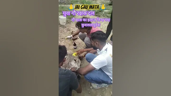 jai gau mata 🙏❤️ jai shree ram #gaurakshadal #cow #viralvideo #youtubeshorts #cow