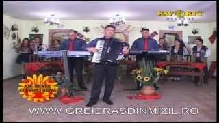 Formatia Greieras din Mizil - instrumental (cover)