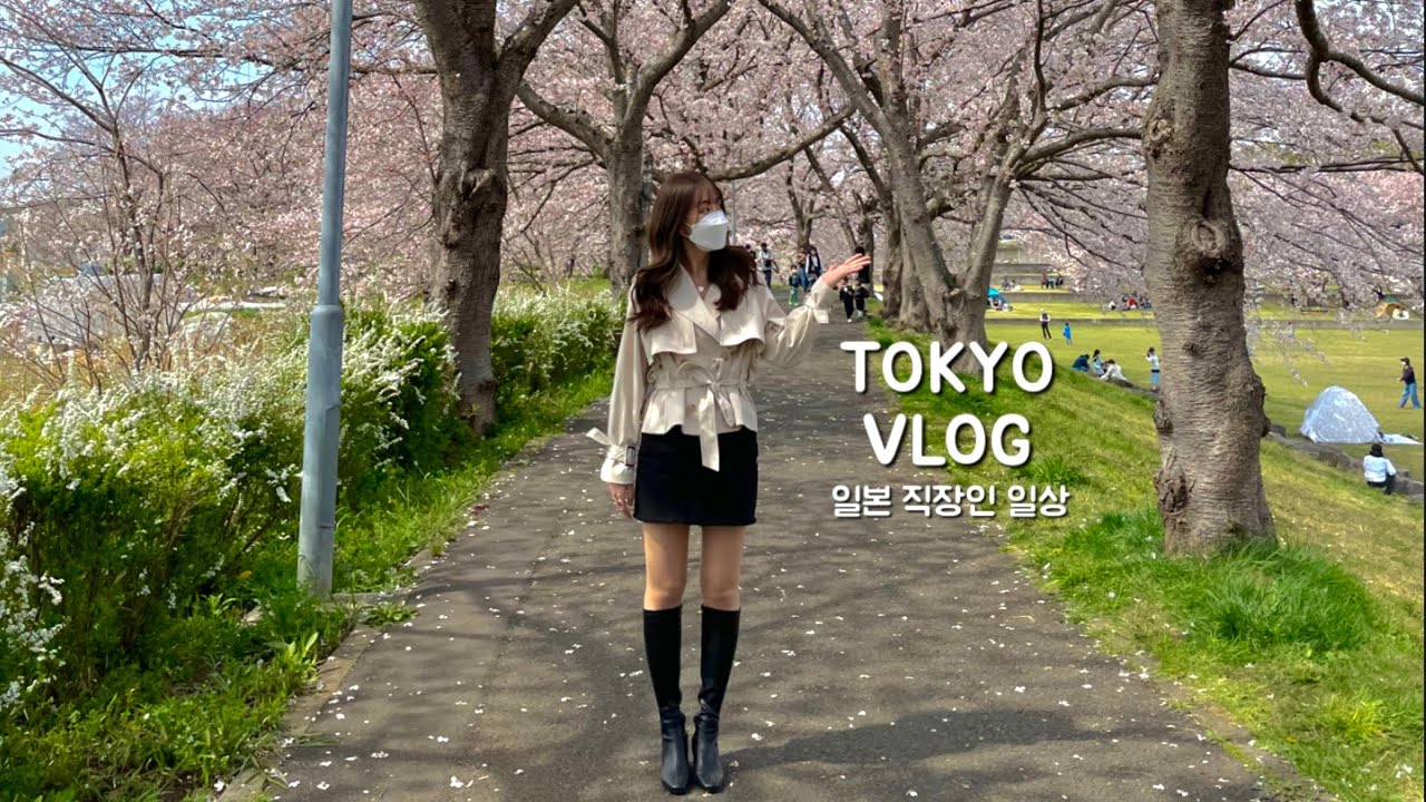 일본 브이로그 | 도쿄 직장인 일상. 출근길에 나카메구로 벚꽃구경. 츠쿠바에서 벚꽃놀이. 소금빵 사먹고 무화과 버터 해먹는 일상 (미라이자카, 히가시무라야마 벚꽃)