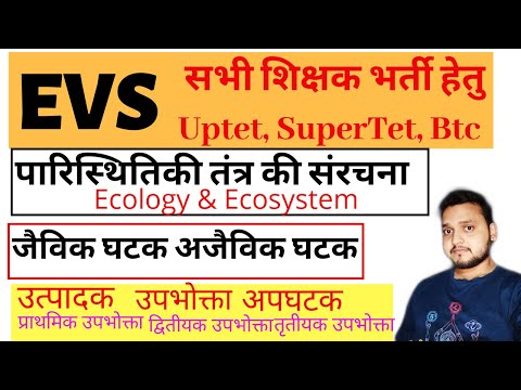 पर्यावरण(EVS)- पारिस्थितिकी, पारिस्थितिकी तंत्र क्या है,जैविक -अजैविक घटक, उत्पादक, उपभोक्ता, अपघटक