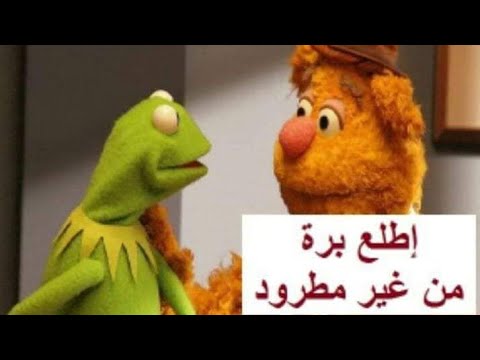 طفل يغني اغنية هوا انتي لسه بتسالي انتي بنسبالي ايه