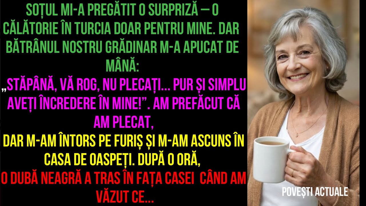 Am prefăcut că am plecat, dar m-am întors pe furiș și m-am ascuns în casa. când am văzut ce...