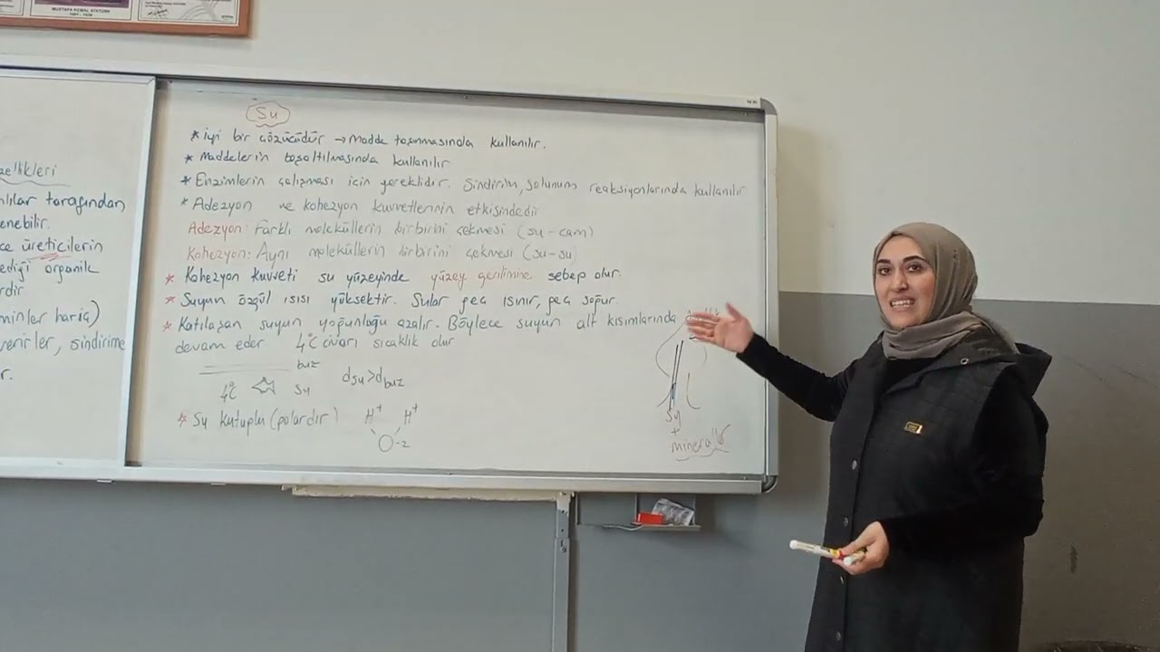 9.Sınıf İnorganik müleküllerden 