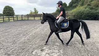 🥤 Pepsi-Max 🥤 Flatwork video 