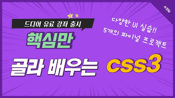어디에서도 CSS3 이런 강의 본 적 없을걸요? 드디어 CSS3 유료 강좌 출시 | 다양한 UI 실습, 5개의 파이널 프로젝트까지!! (with 피그마/figma)