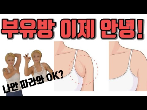 겨드랑이살 림프순환 <strong>상체비만</strong> 부유방 겨치기
