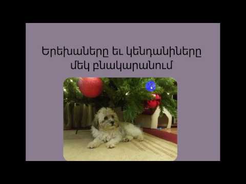 Video: Ողնաշարի և ողնաշարի բնույթի արատները շների մոտ