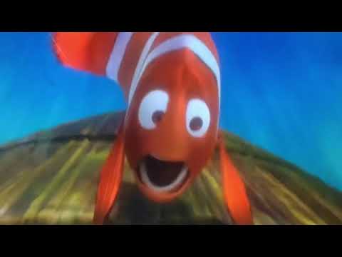 Finding Nemo righteous in voice over