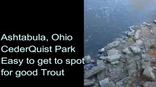 Ashtabula Ohio Fishing Trout At CedarQuist Park