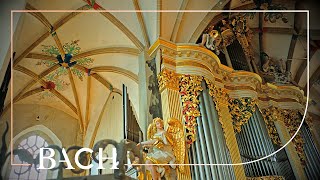 Bach - Kyrie, Gott heiliger Geist BWV 671 - Van Doeselaar | Nederlandse Bachvereniging