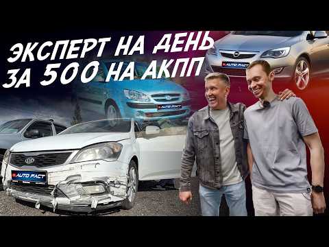 EXPERT FOR A DAY! CARS FOR 500k RUB! VESTA, GETZ, ASTRA, FABIA, CRUZE, CIVIC. AUTOFACT CAR SELECTION