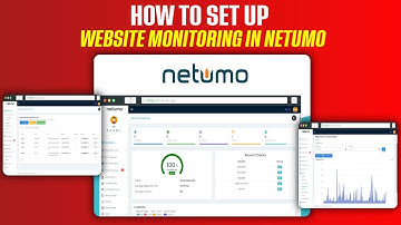 Netumo Review: The Best Tool for Website Monitoring and Uptime Alerts     |