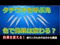 光の色より大事なもの？タチウオを寄せる仕組みを科学で解説【釣果を変える魚学#4】