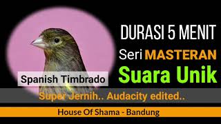 Seri Masteran Spanish Timbrado (super jernih)
