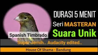 Seri Masteran Spanish Timbrado (super jernih)