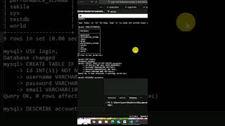 how to view and select a DB in MySQL command line interface CLI