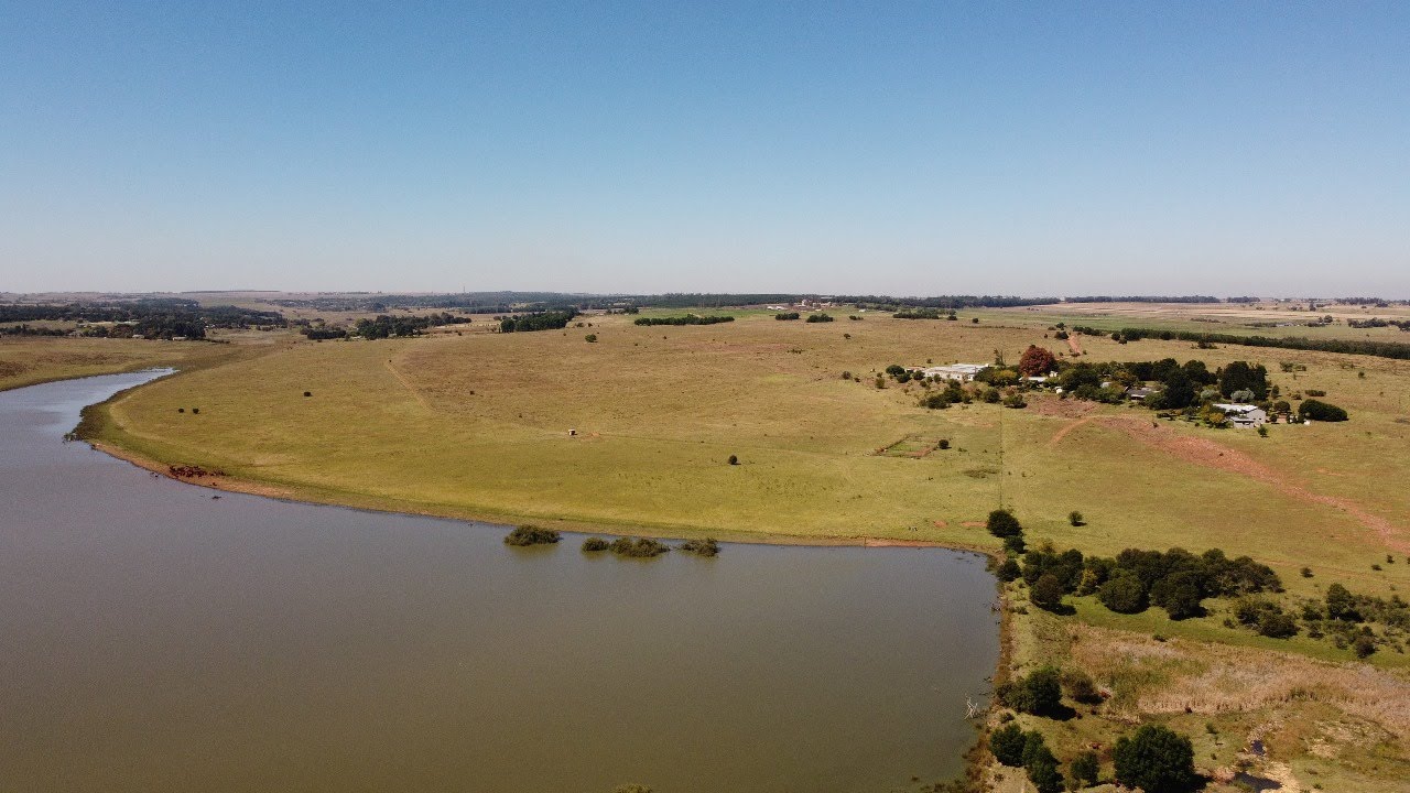 Dreamers, visionaries, and creators