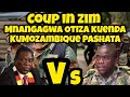 Coup In Zimbabwe Mnangagwa Flees To Mozambique In The Afternoon рџ їрџ ј Coup In Zimbabwe Mnangagwa Flees To Mozambique In The Afternoon рџ їрџ ј