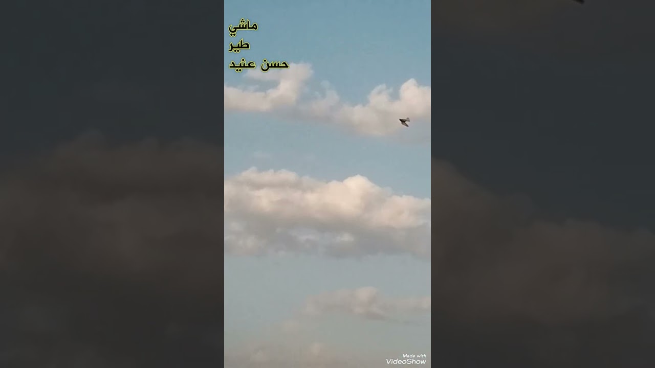 ٦ مارس ٢٠٢٦