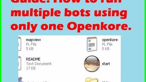Guide: How to run multiple bots using only one Openkore.