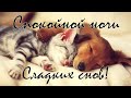 Спокойной ночи // Сладких снов 😴🌟 Красивое Пожелание