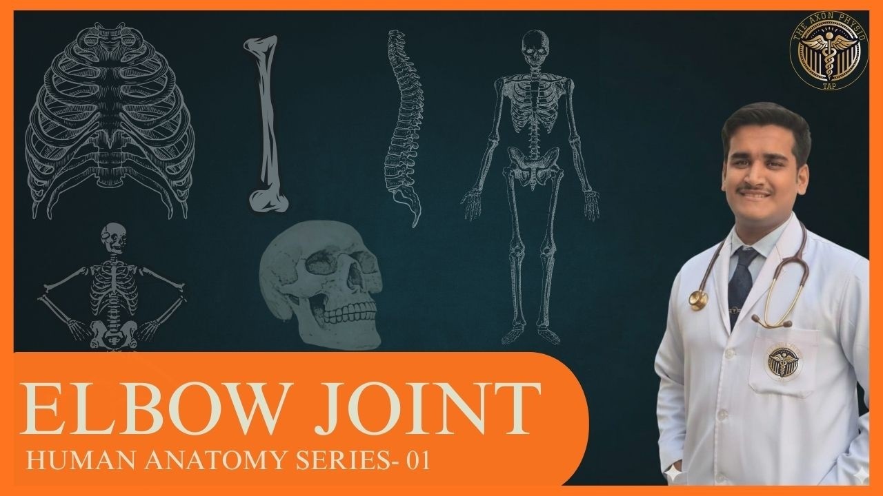 ELBOW JOINT IN 15 MIN