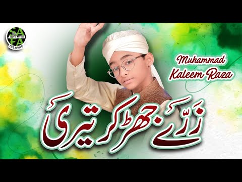 Muhammad Kaleem Raza Rehmani  Zarre Jhar Kar Teri  Heart Touching Kalam  Safa Islamic