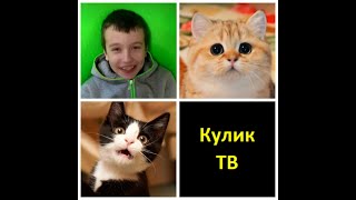 Смешные картинки,юмор , демотиваторы .Выпуск №5 Смешные картинки,юмор , демотиваторы .Выпуск №5