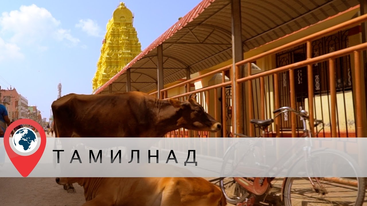 В отпуск в Индию. Часть 5. Тамил-Наду. Рамешварам