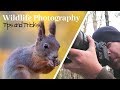 TIPS AND TRICKS | How to be creative with wildlife photography