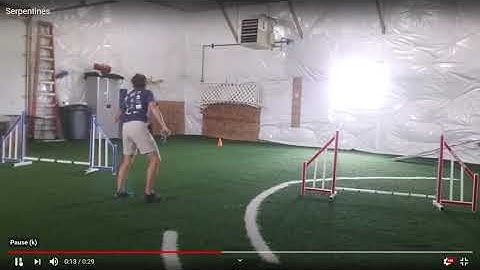 Serpentine training for agility