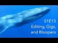 Editing gigs and bloopers  behind the lens  s1e13  inspire wild media