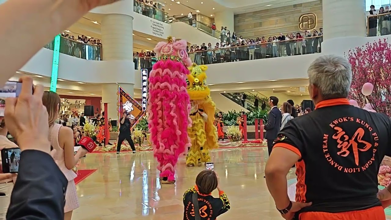 [醒獅賀歲表演］| 郭氏功夫金龍醒團 |  太古城中心（2026.2.23）