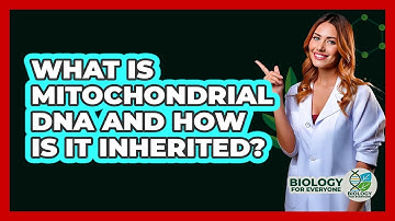 What Is Mitochondrial DNA And How Is It Inherited? - Biology For Everyone
