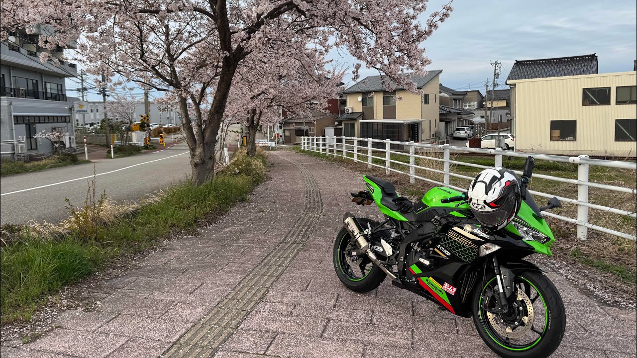 SAKURA PowerColor AMD Radeon RX 6650 XT To Get Hellhound 'Sakura' Edition
