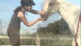 Amazing Video, Amazing Music, Calanor Nalanta Dutch Read Description