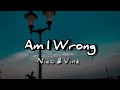 Nico & Vinz - Am I Wrong (Lyrics)