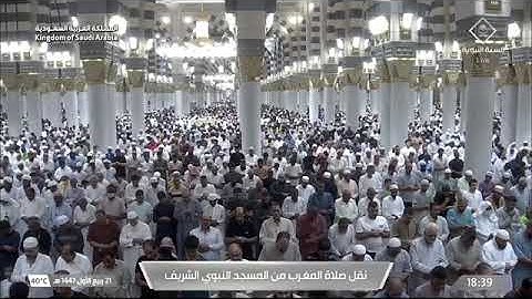صلاة المغرب لفضيلة الشيخ أ.د. #محمد_برهجي يوم السبت 21 ربيع الأول 1447هـ من سورة الحشر.