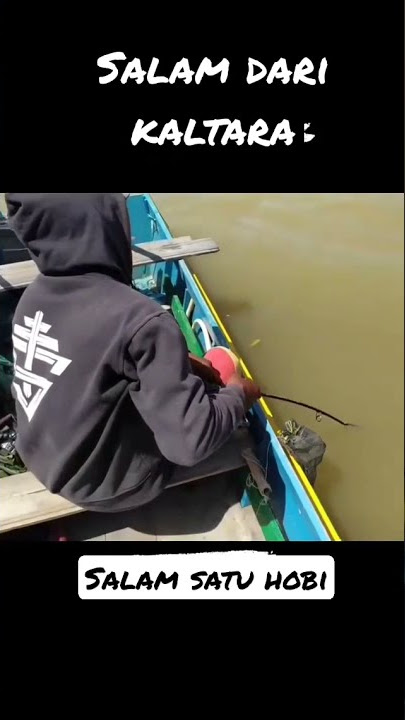 salam dari kaltara #shorts #fishing #mancing #angler #kaltara #salamsatuhobi #salamdarikaltara
