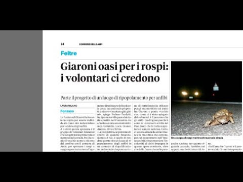 Video DAL 1983 LA RASSEGNA STAMPA LOCALE di mirko mezzacasa. L'ORIGINALE