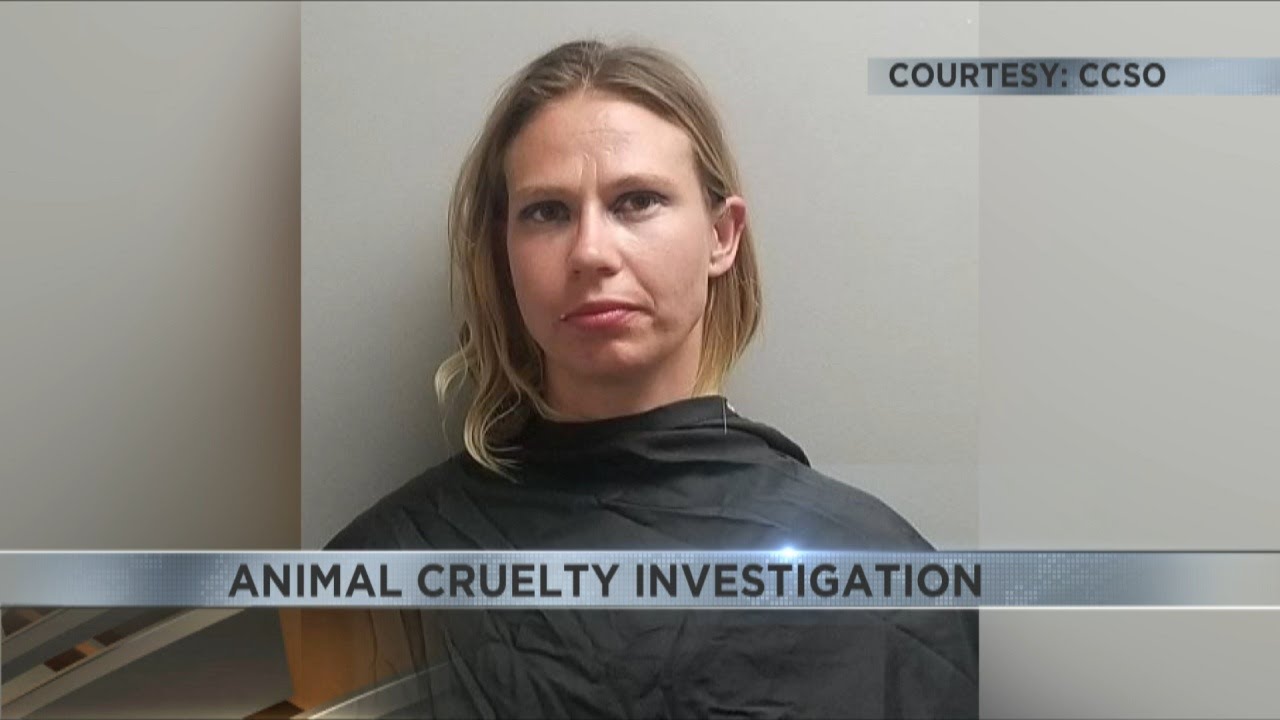 Hereford woman facing 40 felony counts of animal cruelty after leaving ...