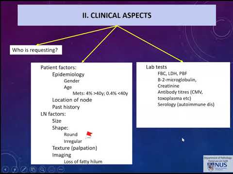 Video: Hudkræft (Mucocutaneous Plasmacytoma) Hos Katte