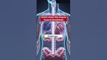 The Amazing World of Science: Quiz Edition