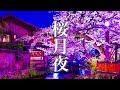 桜月夜【ゆったり癒しBGM】心にしみる、ノスタルジックな和風曲