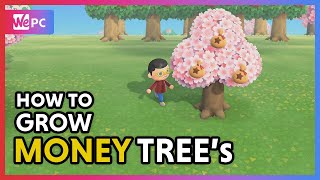 Animal Crossing: New Horizons - How to grow MONEY TREES!