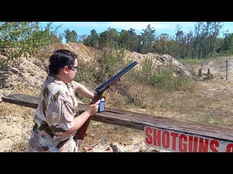 Stoeger Coach Gun