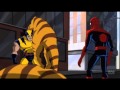 Wolverine & Spiderman new avengers