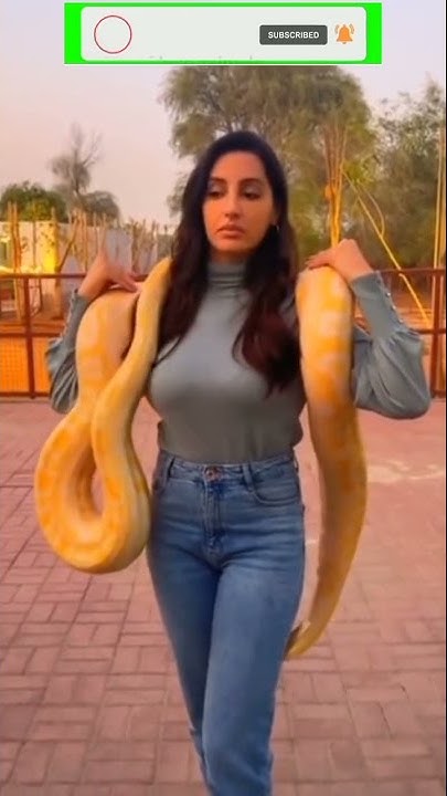 Nora fatehi taked snake on her shoulder shorts,#shorts. - YouTube
