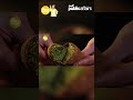 Mommy Su, nag-taste test ng Dubai chewy cookie! | Pera Paraan